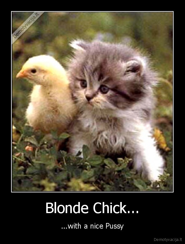 Blonde Chick...
