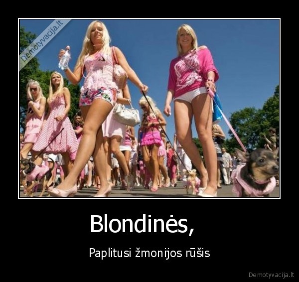 Blondinės,  