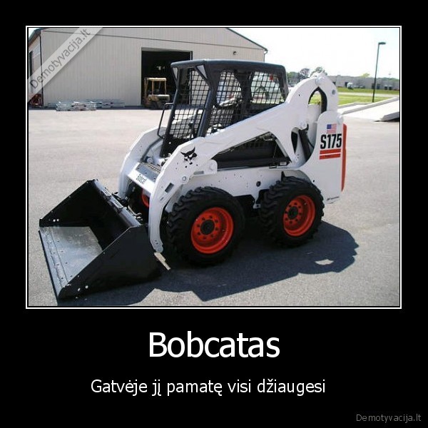 bobcat,gatve,dziaugsmas