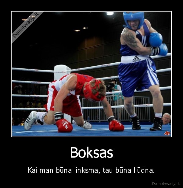 evaldas, petrauskas,boksas