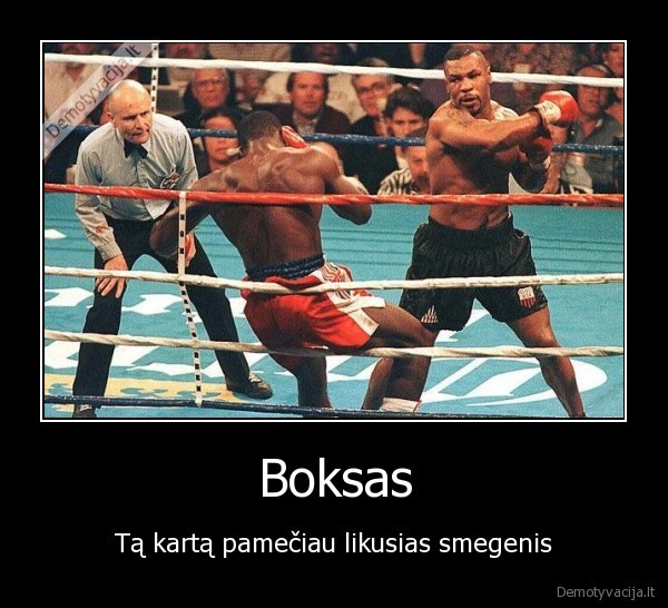 Boksas