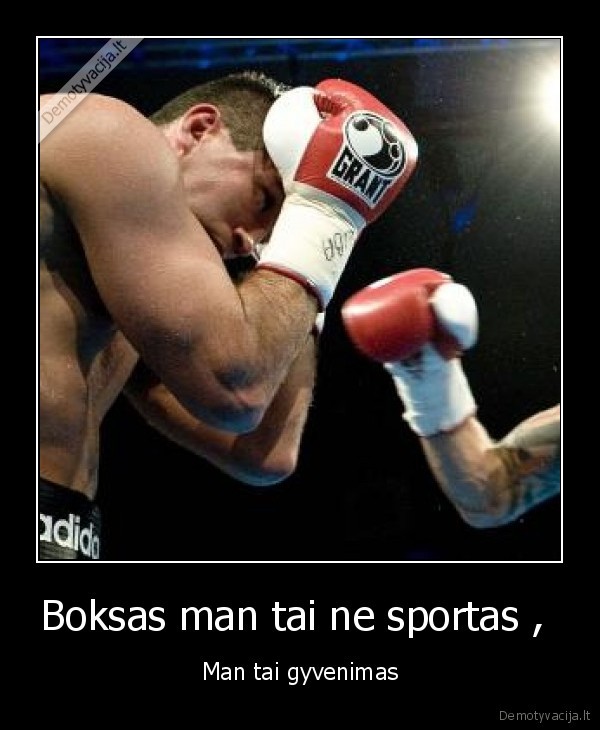 boksas,sportas