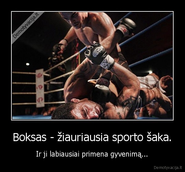 Boksas - žiauriausia sporto šaka.