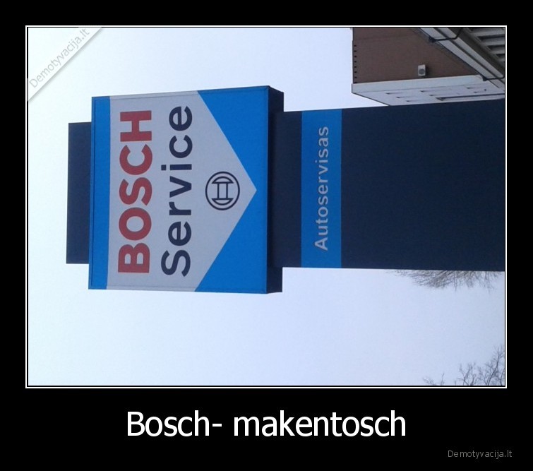 bosch