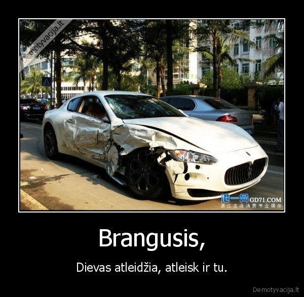 Brangusis,