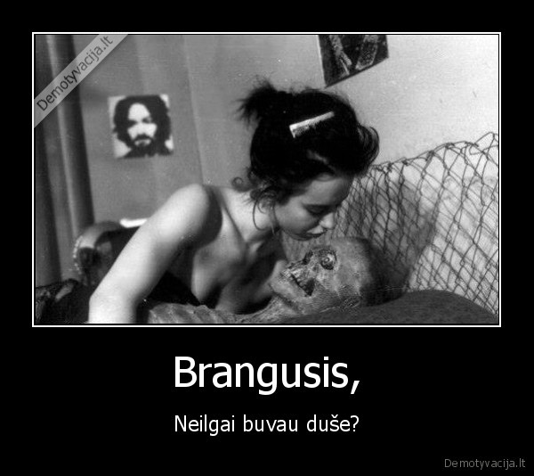 Brangusis,