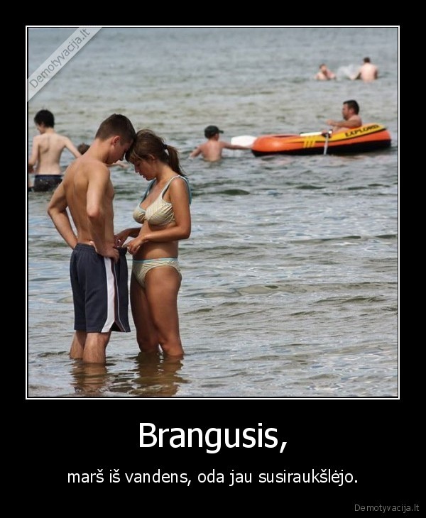 Brangusis,