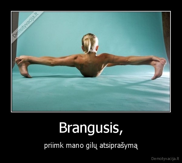 Brangusis,