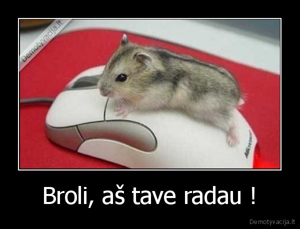 Broli, aš tave radau !