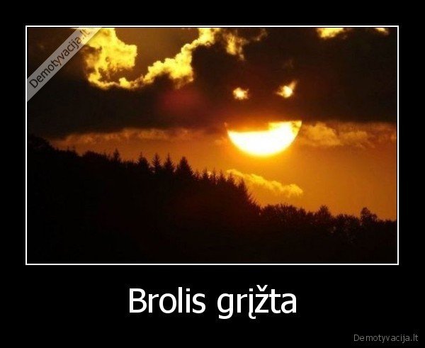 Brolis grįžta