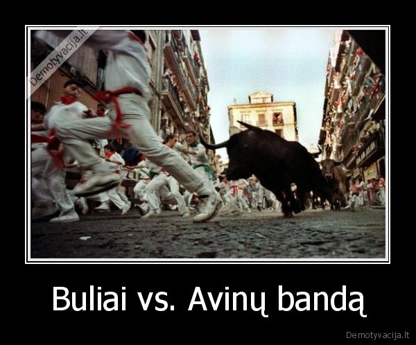 Buliai vs. Avinų bandą