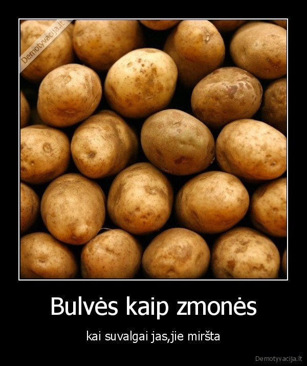 Bulvės kaip zmonės