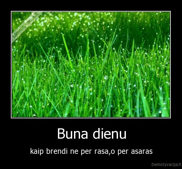 Buna dienu