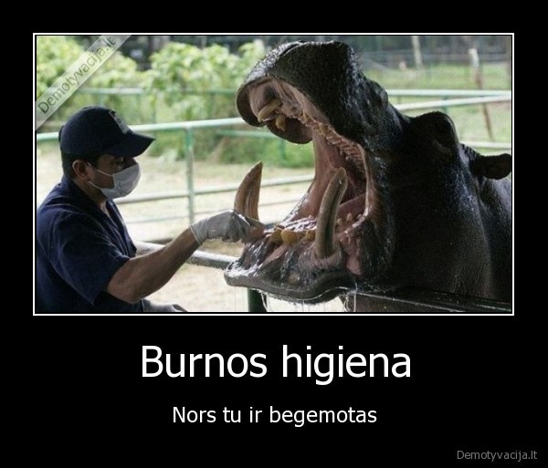 Burnos higiena