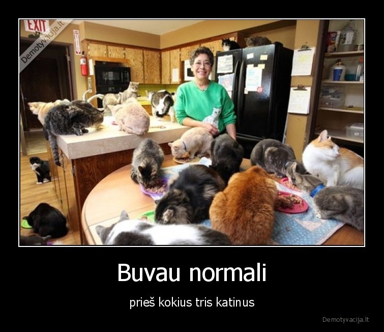 katinas,senmerge,katinai,normali,nenormali