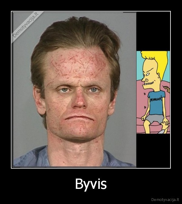 Byvis