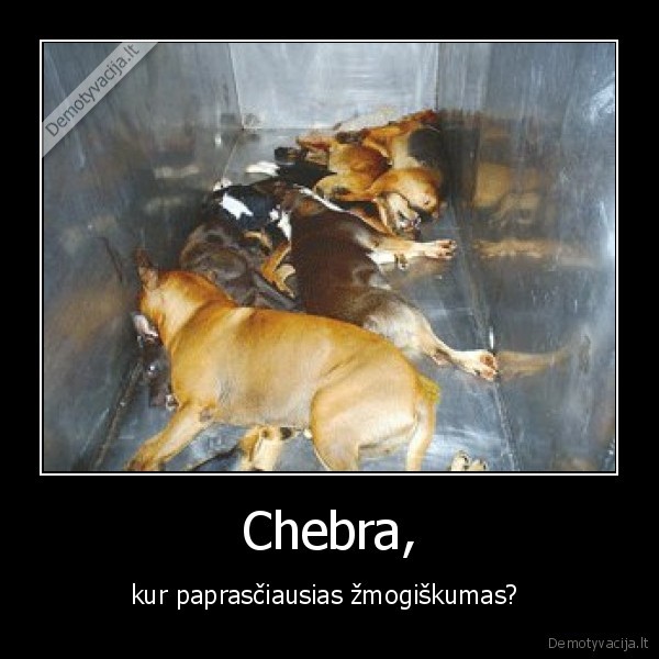 Chebra,