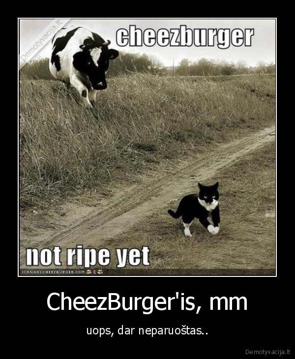 CheezBurger'is, mm