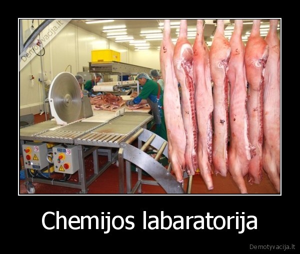 Chemijos labaratorija