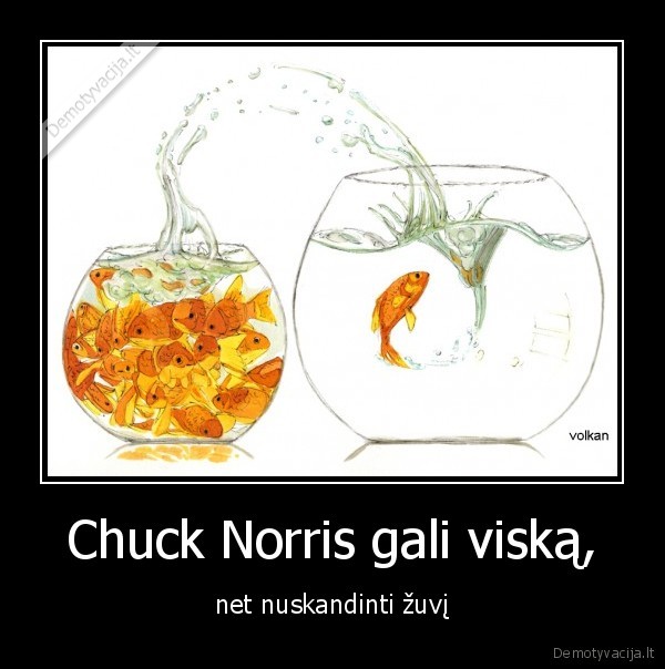 Chuck Norris gali viską,