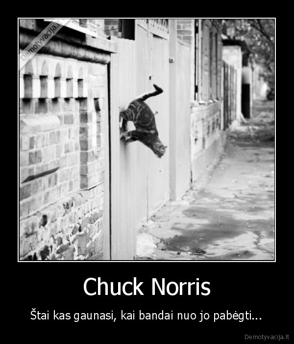 Chuck Norris