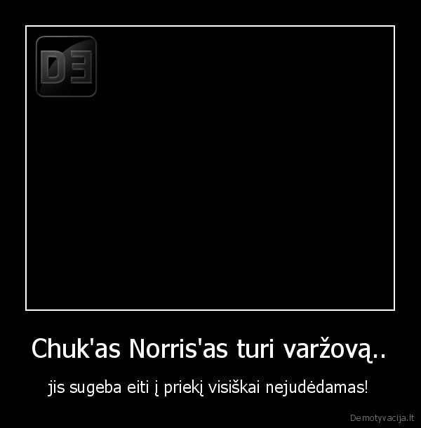 Chuk'as Norris'as turi varžovą..