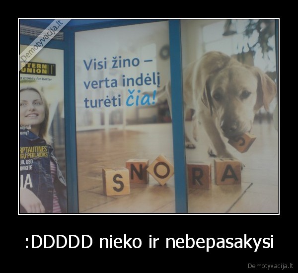 :DDDDD nieko ir nebepasakysi