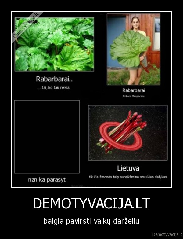 DEMOTYVACIJA.LT