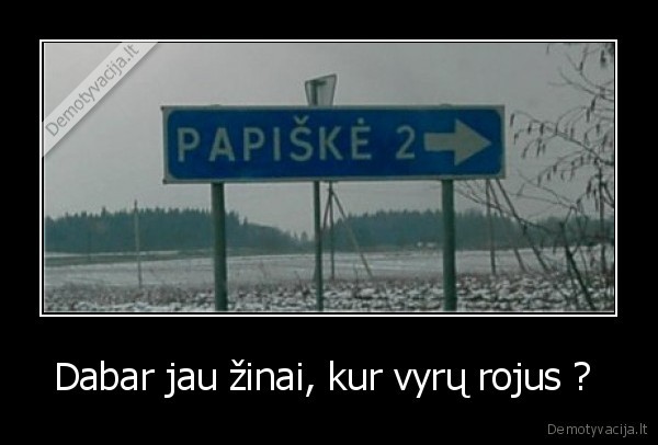 papiskes, vyru, rojus