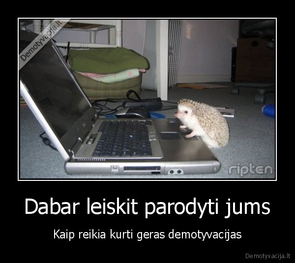 Dabar leiskit parodyti jums