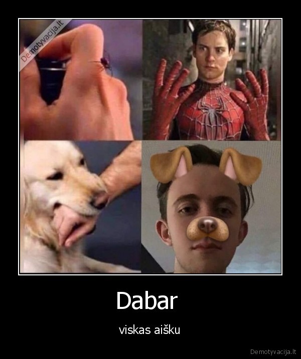 Dabar 