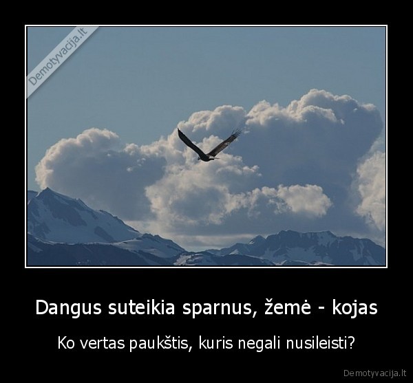 Dangus suteikia sparnus, žemė - kojas