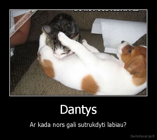 Dantys