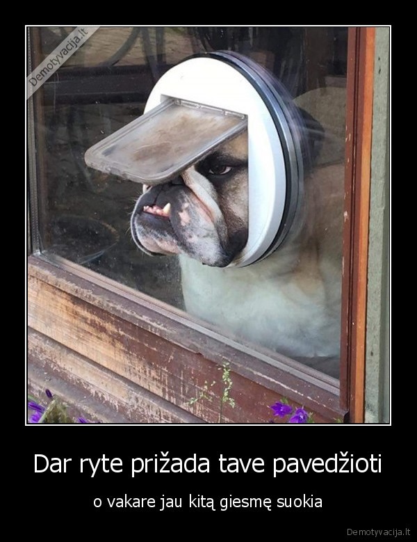 Dar ryte prižada tave pavedžioti