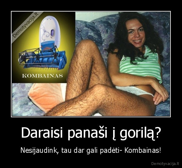 Daraisi panaši į gorilą?