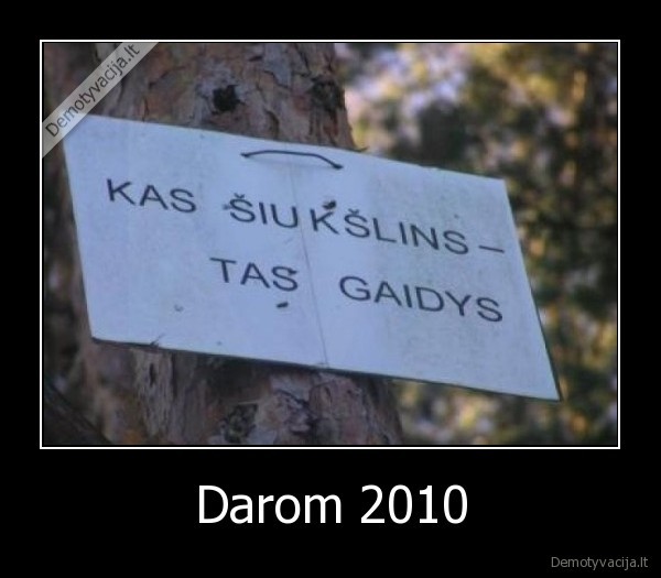 darom,gaidys