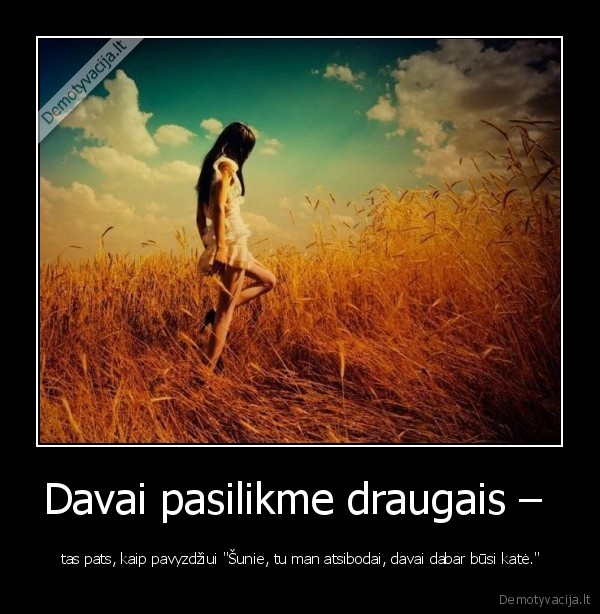 Davai pasilikme draugais – 