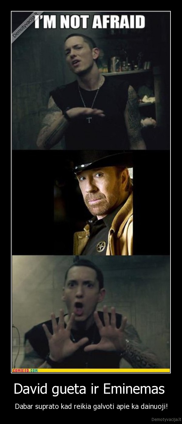 chuck, norris, eminem, davidgueta, not, afraid