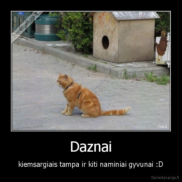 Daznai