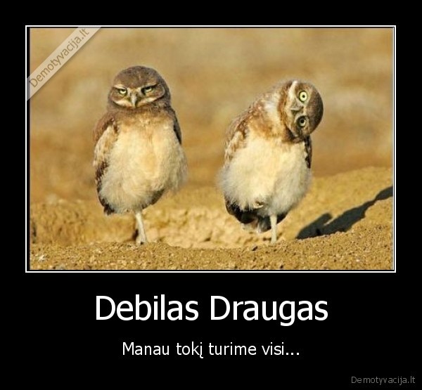 Debilas Draugas