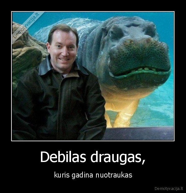 Debilas draugas,