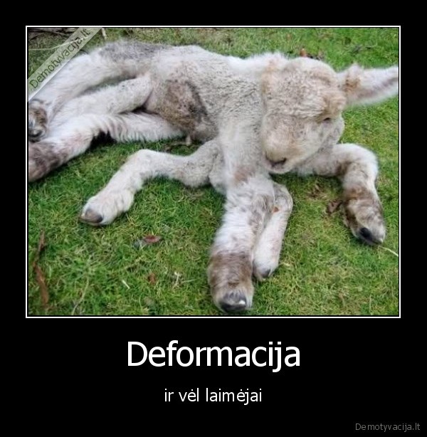 Deformacija