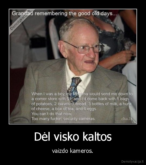 Dėl visko kaltos