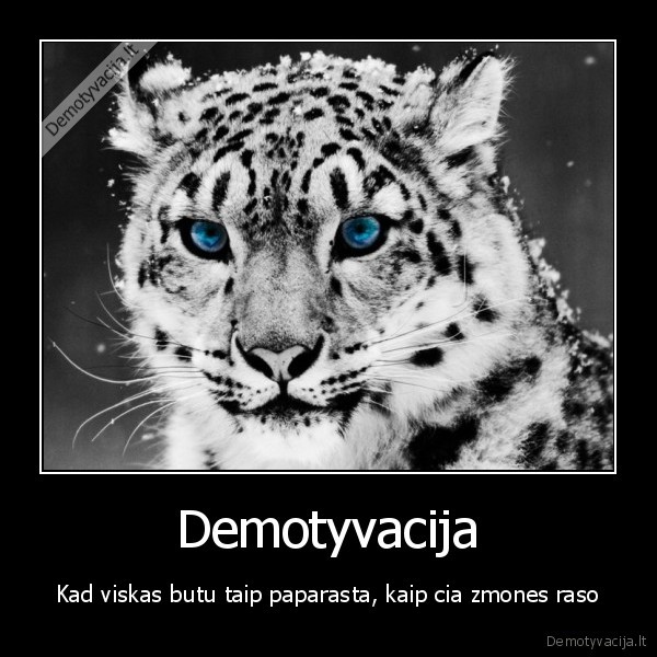 Demotyvacija