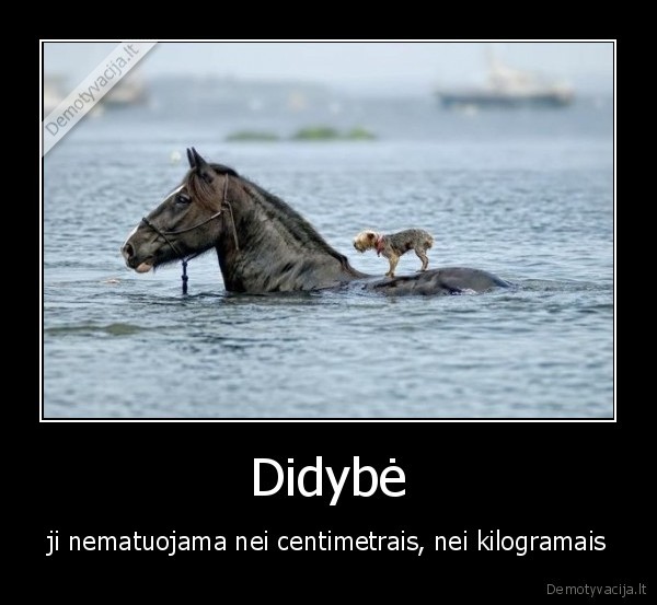 Didybė