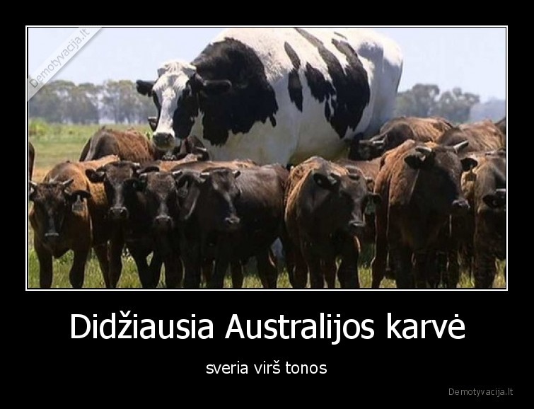 karve,australija,didziausia