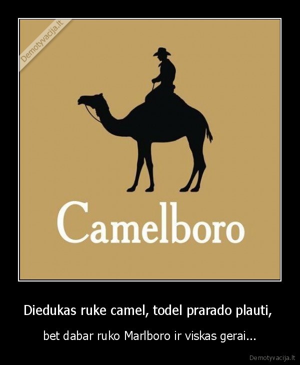 Diedukas ruke camel, todel prarado plauti, 