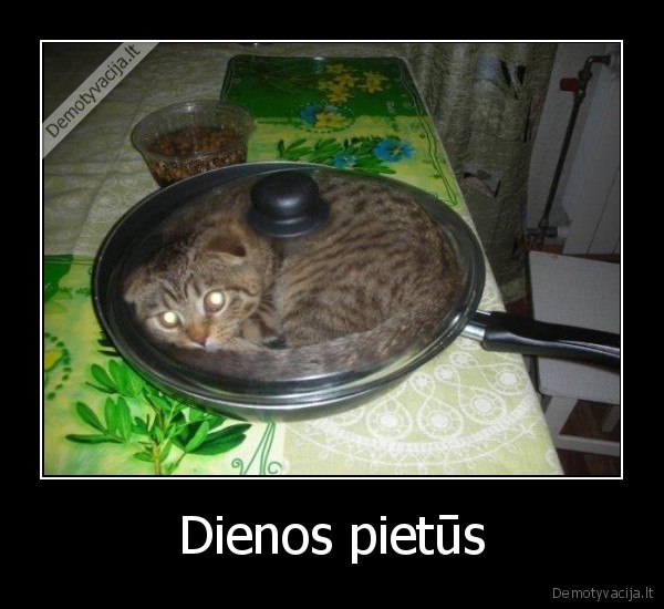 Dienos pietūs