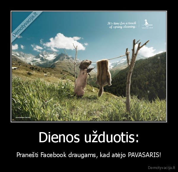 pavasaris,facebook,pranesti