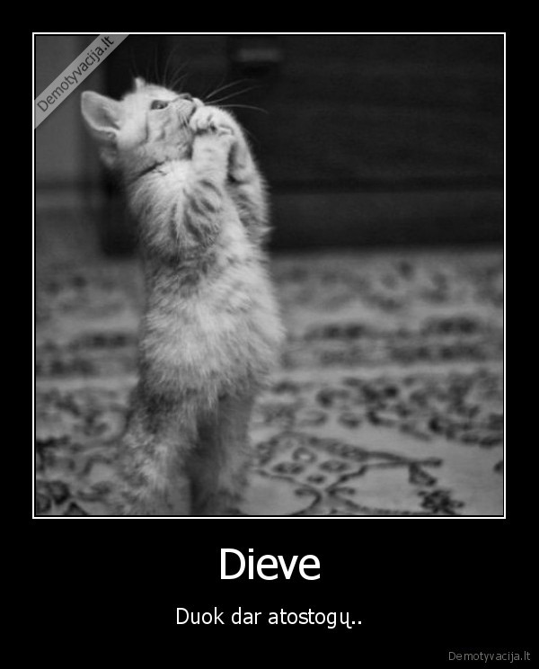 Dieve